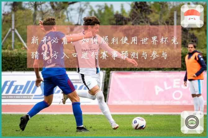 新手必看:如何顺利使用世界杯竞猜官方入口进行赛事预测与参与