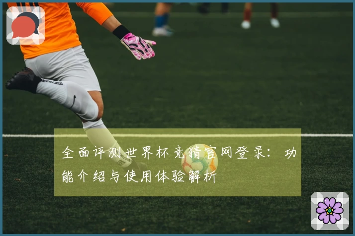 全面评测世界杯竞猜官网登录：功能介绍与使用体验解析