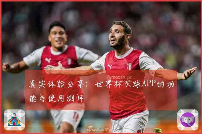 真实体验分享:世界杯买球APP的功能与使用测评